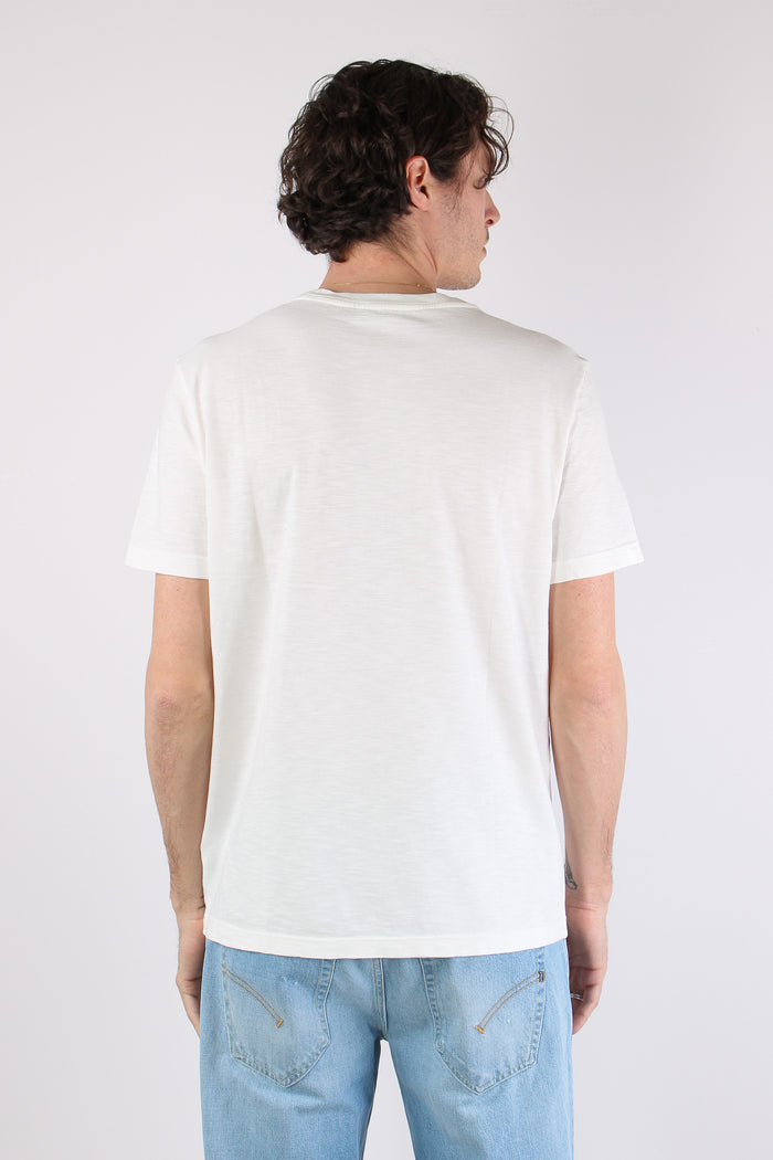 T-shirt Cotone Fiammato Logo Alabastro-4