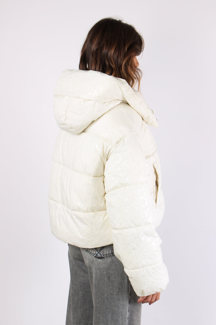 Infuso Piumino Logo Bottoni Ma Tortora-7