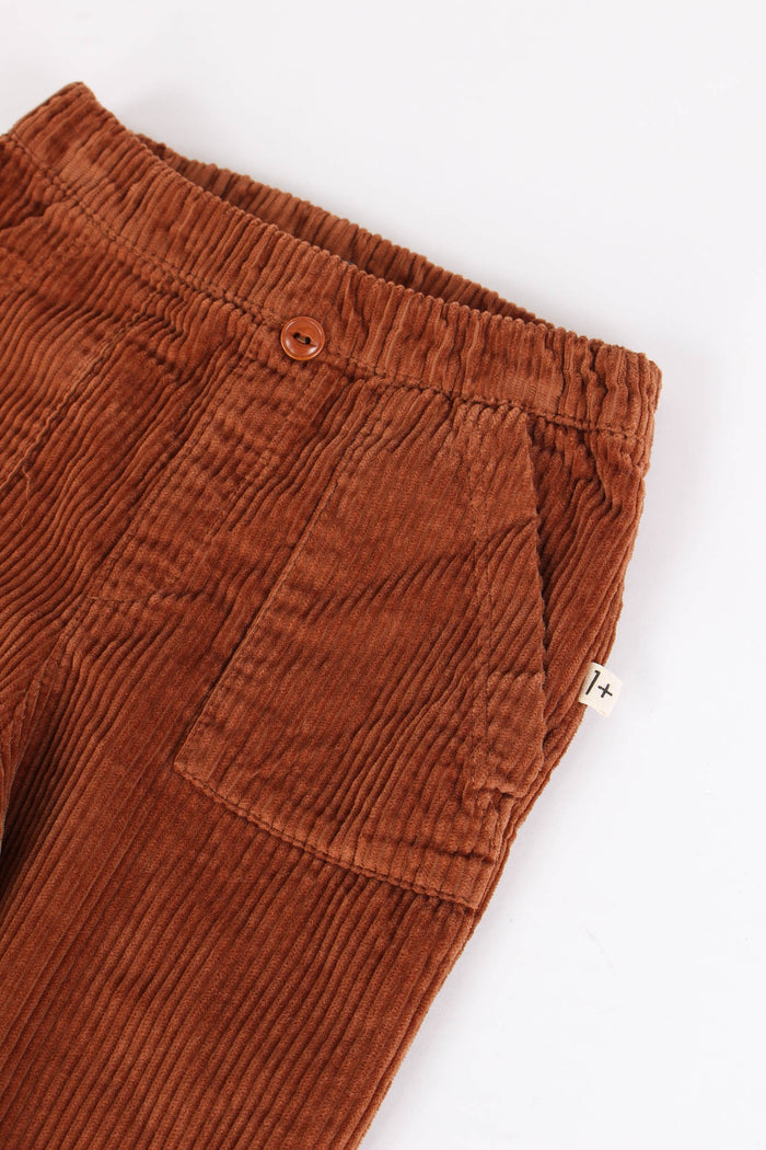 Pantalone Velluto Castagna-3