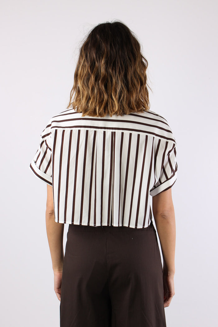 Camicia Corta Riga Bianco/moro-4