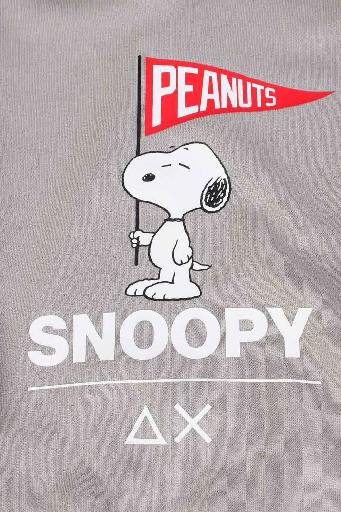 Felpa Rocky Peanuts Grigio-2