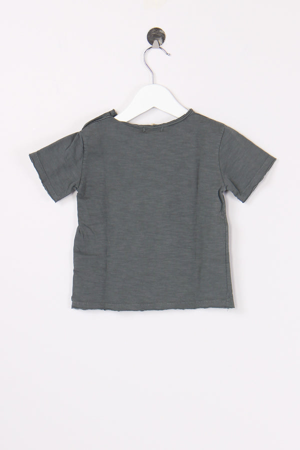 T-shirt Stampa Zebra Graphite-2