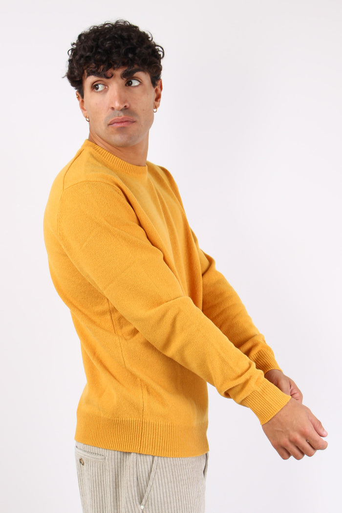 Girocollo Lambswool Mustard-6