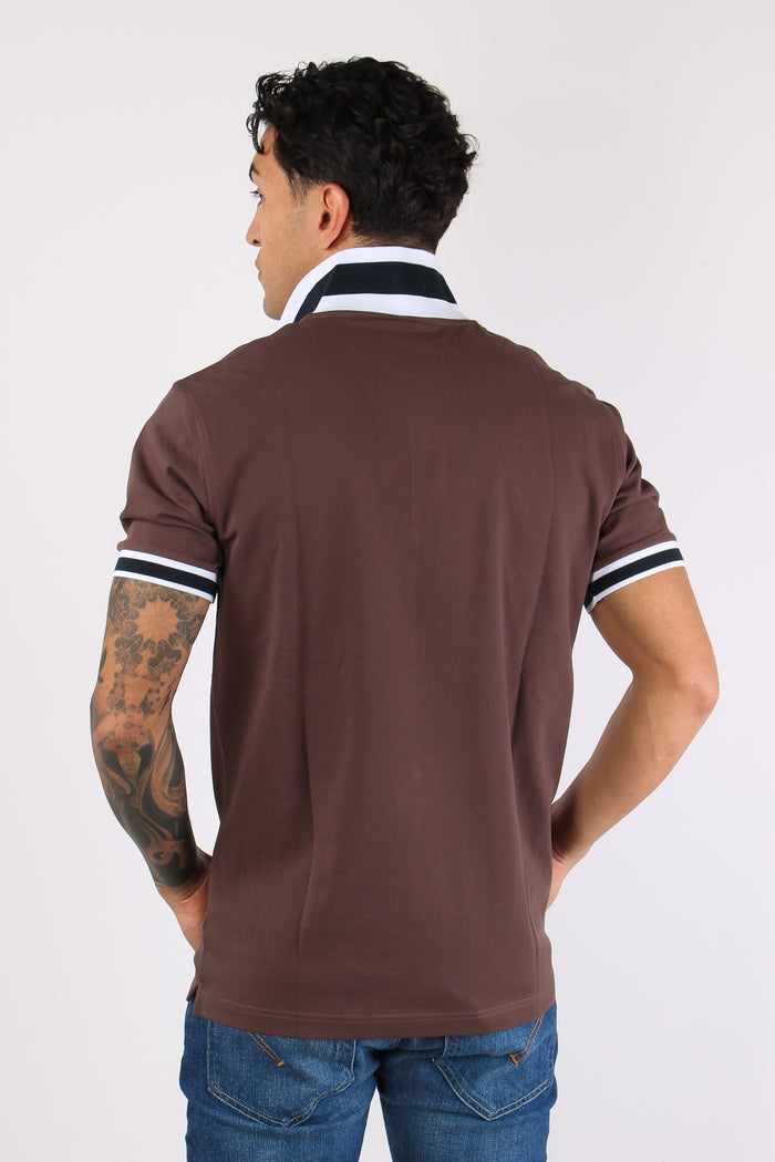 Polo Collo Bicolor Marrone-4