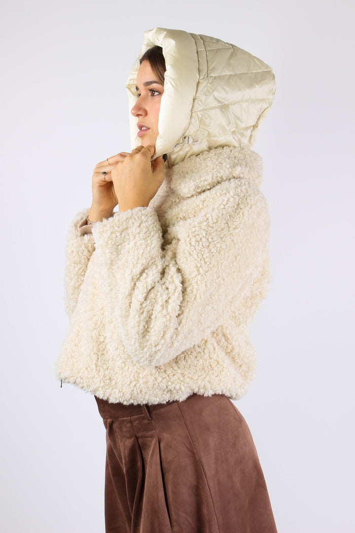 Teddy Corto White Swan-4