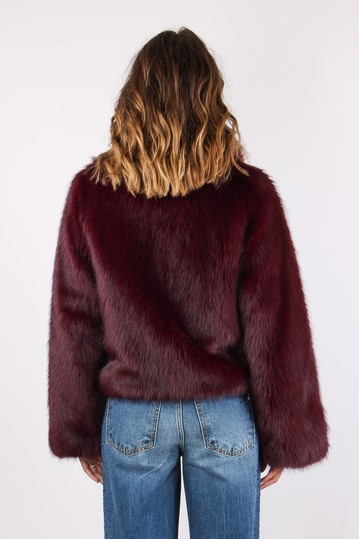 Dangela Pelliccia Corta Windsor-4