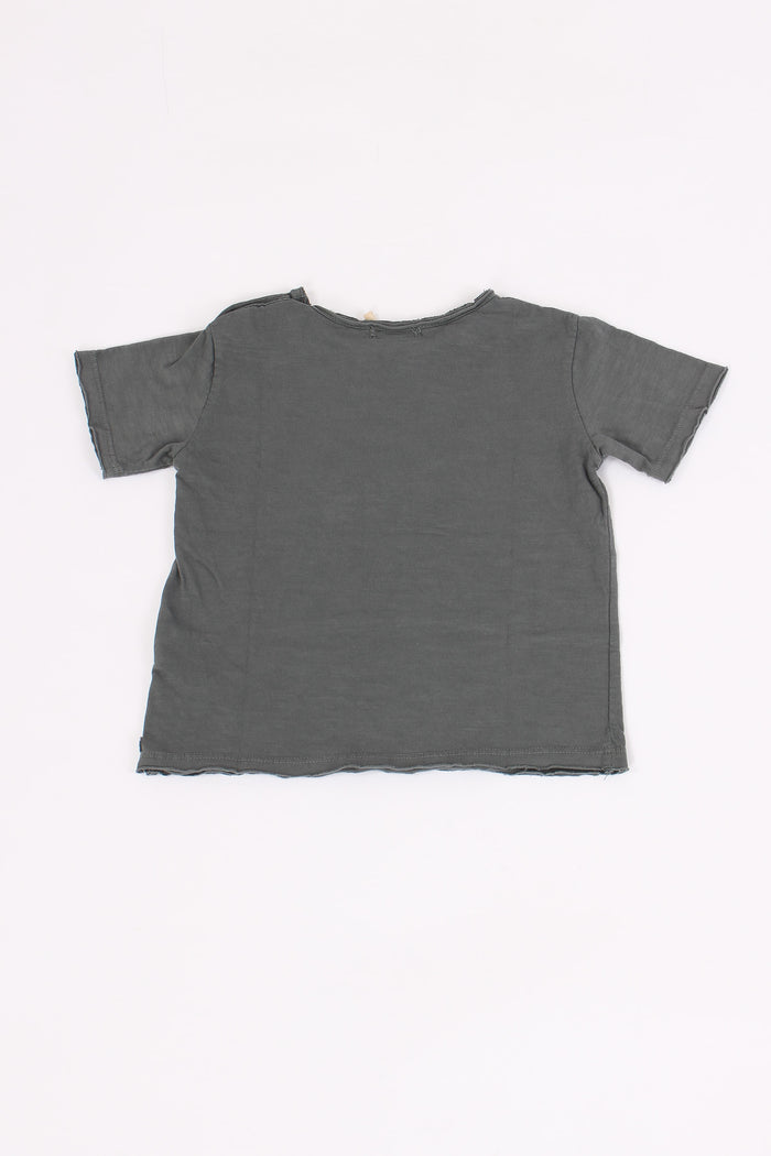 T-shirt Stampa Zebra Graphite-5