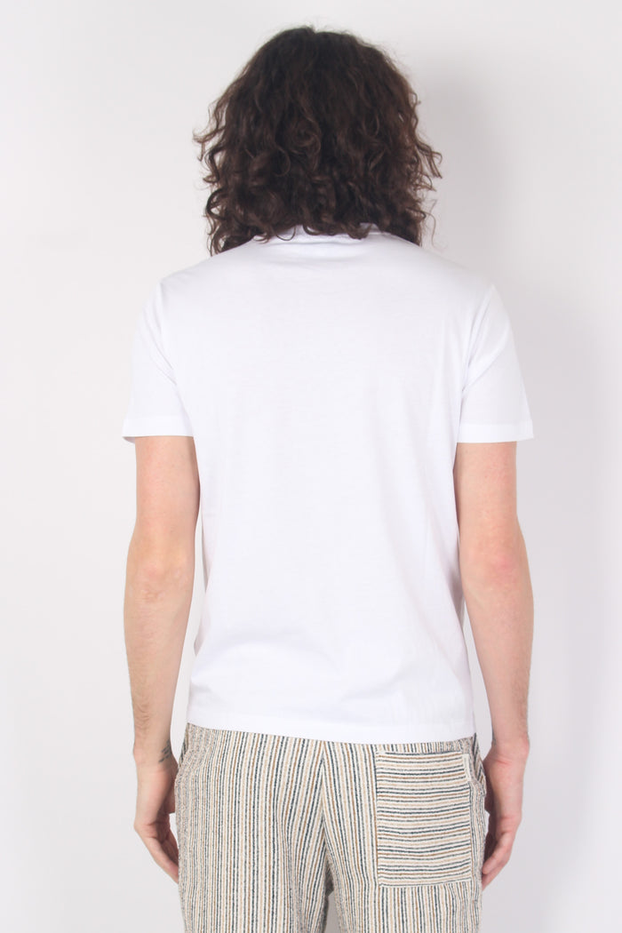 T-shirt Girocollo Cotone Bianco-3
