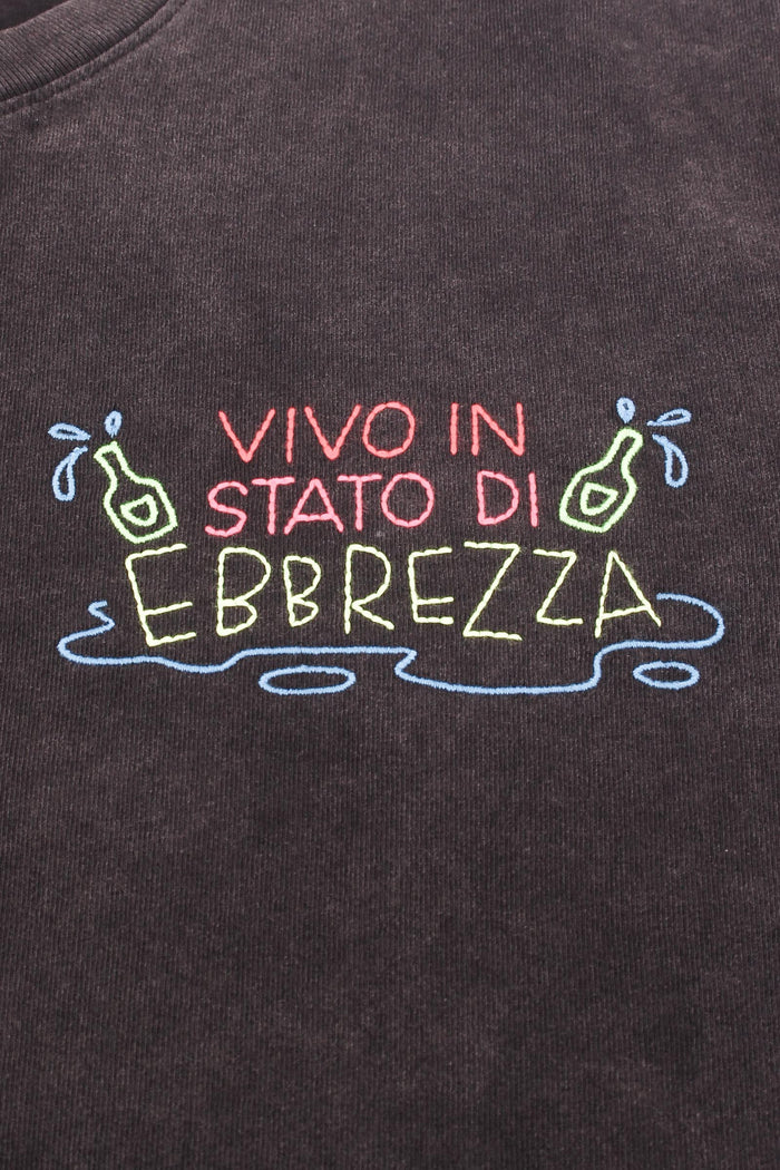 T-shirt Stato Di Ebrezza Grigio-7