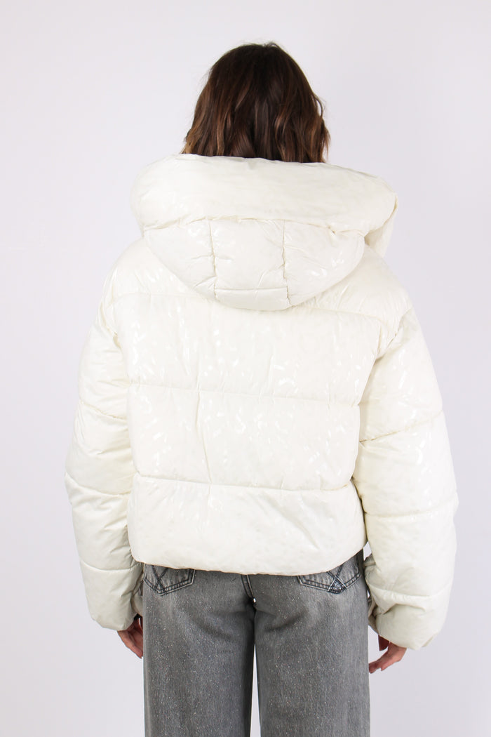 Infuso Piumino Logo Bottoni Ma Tortora-5